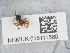  ( - NHMUK015111560)  @11 [ ] Unspecified (default): All Rights Reserved  Unspecified Unspecified