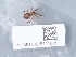 ( - NHMUK015111561)  @11 [ ] Unspecified (default): All Rights Reserved  Unspecified Unspecified
