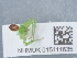 ( - NHMUK015111635)  @11 [ ] Unspecified (default): All Rights Reserved  Unspecified Unspecified