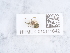  ( - NHMUK015111642)  @11 [ ] Unspecified (default): All Rights Reserved  Unspecified Unspecified