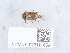  ( - NHMUK015111659)  @11 [ ] Unspecified (default): All Rights Reserved  Unspecified Unspecified