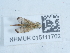  ( - NHMUK015111702)  @11 [ ] Unspecified (default): All Rights Reserved  Unspecified Unspecified