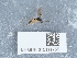  ( - NHMUK015111755)  @11 [ ] Unspecified (default): All Rights Reserved  Unspecified Unspecified
