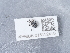  ( - NHMUK015112418)  @11 [ ] Unspecified (default): All Rights Reserved  Unspecified Unspecified