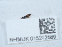  ( - NHMUK015212689)  @11 [ ] Unspecified (default): All Rights Reserved  Unspecified Unspecified