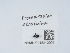  ( - NHMUK015212905)  @11 [ ] Unspecified (default): All Rights Reserved  Unspecified Unspecified