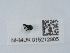  ( - NHMUK015212905)  @11 [ ] Unspecified (default): All Rights Reserved  Unspecified Unspecified