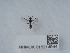  ( - NHMUK015214944)  @11 [ ] Unspecified (default): All Rights Reserved  Unspecified Unspecified