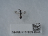  ( - NHMUK015214944)  @11 [ ] Unspecified (default): All Rights Reserved  Unspecified Unspecified
