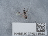  ( - NHMUK015214944)  @11 [ ] Unspecified (default): All Rights Reserved  Unspecified Unspecified