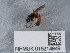  ( - NHMUK015214949)  @11 [ ] Unspecified (default): All Rights Reserved  Unspecified Unspecified