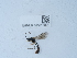  ( - NHMUK015215001)  @11 [ ] Unspecified (default): All Rights Reserved  Unspecified Unspecified