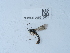  ( - NHMUK015215001)  @11 [ ] Unspecified (default): All Rights Reserved  Unspecified Unspecified