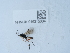  ( - NHMUK015215004)  @11 [ ] Unspecified (default): All Rights Reserved  Unspecified Unspecified