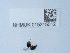  ( - NHMUK015215012)  @11 [ ] Unspecified (default): All Rights Reserved  Unspecified Unspecified