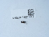  ( - NHMUK015215013)  @11 [ ] Unspecified (default): All Rights Reserved  Unspecified Unspecified