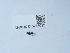  ( - NHMUK015215013)  @11 [ ] Unspecified (default): All Rights Reserved  Unspecified Unspecified