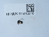  ( - NHMUK015215016)  @11 [ ] Unspecified (default): All Rights Reserved  Unspecified Unspecified