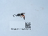  ( - NHMUK015215018)  @11 [ ] Unspecified (default): All Rights Reserved  Unspecified Unspecified