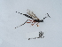  ( - NHMUK015215044)  @11 [ ] Unspecified (default): All Rights Reserved  Unspecified Unspecified