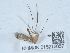  ( - NHMUK015215057)  @11 [ ] Unspecified (default): All Rights Reserved  Unspecified Unspecified