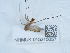  ( - NHMUK015215057)  @11 [ ] Unspecified (default): All Rights Reserved  Unspecified Unspecified