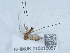  ( - NHMUK015215057)  @11 [ ] Unspecified (default): All Rights Reserved  Unspecified Unspecified
