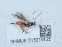  ( - NHMUK015215125)  @11 [ ] Unspecified (default): All Rights Reserved  Unspecified Unspecified