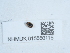  ( - NHMUK015550115)  @11 [ ] Unspecified (default): All Rights Reserved  Unspecified Unspecified