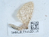  ( - NHMUK015550118)  @11 [ ] Unspecified (default): All Rights Reserved  Unspecified Unspecified