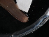  ( - NHMUK015556905)  @11 [ ] Unspecified (default): All Rights Reserved  Unspecified Unspecified