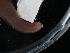 ( - NHMUK015556905)  @11 [ ] Unspecified (default): All Rights Reserved  Unspecified Unspecified