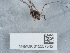  ( - NHMUK015557545)  @11 [ ] Unspecified (default): All Rights Reserved  Unspecified Unspecified