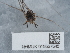  ( - NHMUK015557545)  @11 [ ] Unspecified (default): All Rights Reserved  Unspecified Unspecified