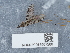  ( - NHMUK015557566)  @11 [ ] Unspecified (default): All Rights Reserved  Unspecified Unspecified
