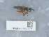  ( - NHMUK015557571)  @11 [ ] Unspecified (default): All Rights Reserved  Unspecified Unspecified