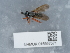  ( - NHMUK015557571)  @11 [ ] Unspecified (default): All Rights Reserved  Unspecified Unspecified