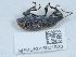  ( - NHMUK015931828)  @11 [ ] Unspecified (default): All Rights Reserved  Unspecified Unspecified