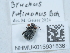  ( - NHMUK015931836)  @11 [ ] Unspecified (default): All Rights Reserved  Unspecified Unspecified