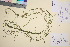  ( - TROM_V_13076_sg)  @11 [ ] CreativeCommons - Attribution Non-Commercial Share-Alike (2016) Unspecified Tromsø University Museum