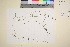  ( - TROM_V_13076_sg)  @11 [ ] CreativeCommons - Attribution Non-Commercial Share-Alike (2016) Unspecified Tromsø University Museum
