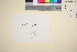  ( - TROM_V_13076_sg)  @11 [ ] CreativeCommons - Attribution Non-Commercial Share-Alike (2016) Unspecified Tromsø University Museum