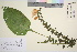  ( - TROM_V_131705_sg)  @11 [ ] CreativeCommons - Attribution Non-Commercial Share-Alike (2016) Unspecified Tromso University Museum