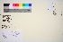  ( - TROM_V_134325_sg)  @11 [ ] CreativeCommons - Attribution Non-Commercial Share-Alike (2016) Unspecified Tromso University Museum