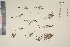  ( - TROM_V_135094_sg)  @11 [ ] CreativeCommons - Attribution Non-Commercial Share-Alike (2017) Unspecified Tromsø University Museum