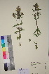  ( - TROM_V_135247_sg)  @11 [ ] CreativeCommons - Attribution Non-Commercial Share-Alike (2018) Unspecified Tromsø University Museum