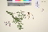  ( - TROM_V_135642_sg)  @11 [ ] CreativeCommons - Attribution Non-Commercial Share-Alike (2016) Unspecified Tromso University Museum