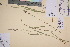  ( - TROM_V_135718_sg)  @11 [ ] CreativeCommons - Attribution Non-Commercial Share-Alike (2017) Unspecified Tromsø University Museum