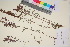  ( - TROM_V_135765_sg)  @11 [ ] CreativeCommons - Attribution Non-Commercial Share-Alike (2017) Unspecified Tromsø University Museum