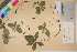  ( - TROM_V_135769_sg)  @11 [ ] CreativeCommons - Attribution Non-Commercial Share-Alike (2017) Unspecified Tromsø University Museum